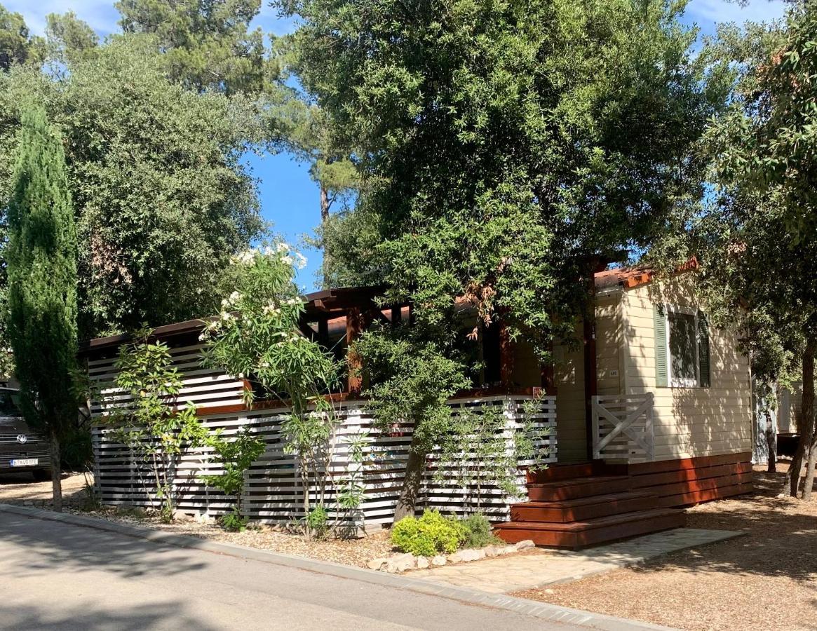 Pine And Lavander Home Biograd Na Moru Exterior photo
